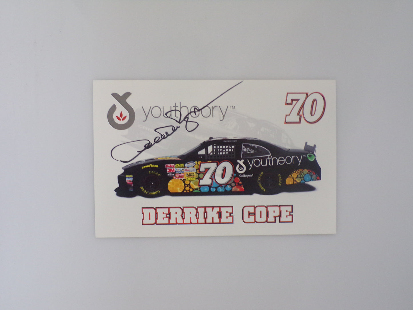 Item F210 -  Autographed Nascar Hero Cards Lot of 12